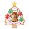 Hallmark My Fur-st Christmas 2023 Photo Frame Ornament -Hallmark Store Christmas Cookie Pet Picture Frame Keepsake Ornament 1599QGO2607 01