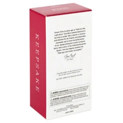 Hallmark Hot Wheels™ Mach Speeder™ Ornament With Light -Hallmark Store Hot Wheels Mac Speeder Keepsake Ornament 1999QXI7389 05