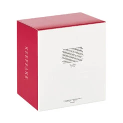 Hallmark Snowflake Ornament And Stocking Hanger -Hallmark Store Keepsake Snowflake Ornament and Stocking Hanger 1999QSB6303 05