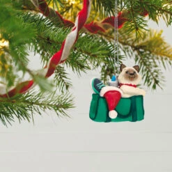 Hallmark Mischievous Kittens Ornament -Hallmark Store Kitten in Gym Bag Keepsake Ornament 1599QXR8179 02