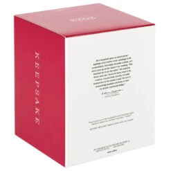 Hallmark Playful Penguins On Ferris Wheel Musical Ornament With Light And Motion -Hallmark Store Penguins on Ferris Wheel Keepsake Ornament 4499QGO2679 05