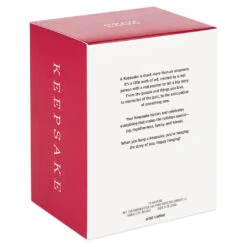 Hallmark Nickelodeon SpongeBob SquarePants Santa Ornament -Hallmark Store SpongeBob Santa Keepsake Ornament 1899QXI7367 05