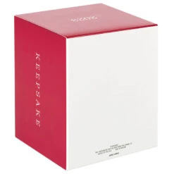 Hallmark Star Wars: The Book Of Boba Fett™ Riding Into The Battle Ornament -Hallmark Store Star Wars Boba Fett on Rancor Keepsake Ornament 2499QXI7087 05